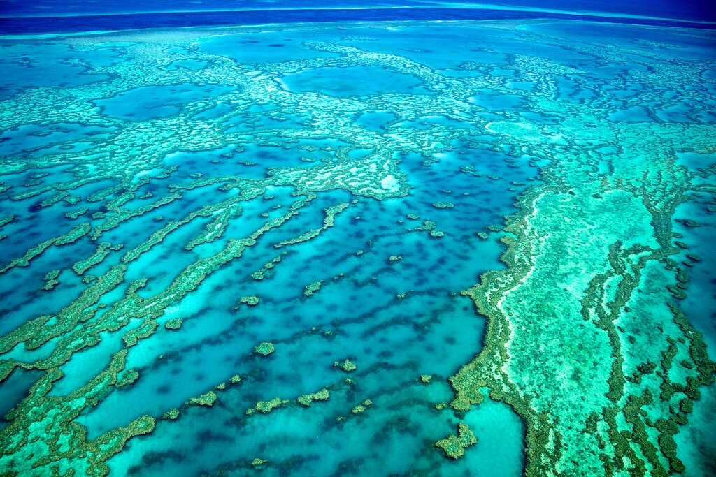 Coral Sea Dreaming