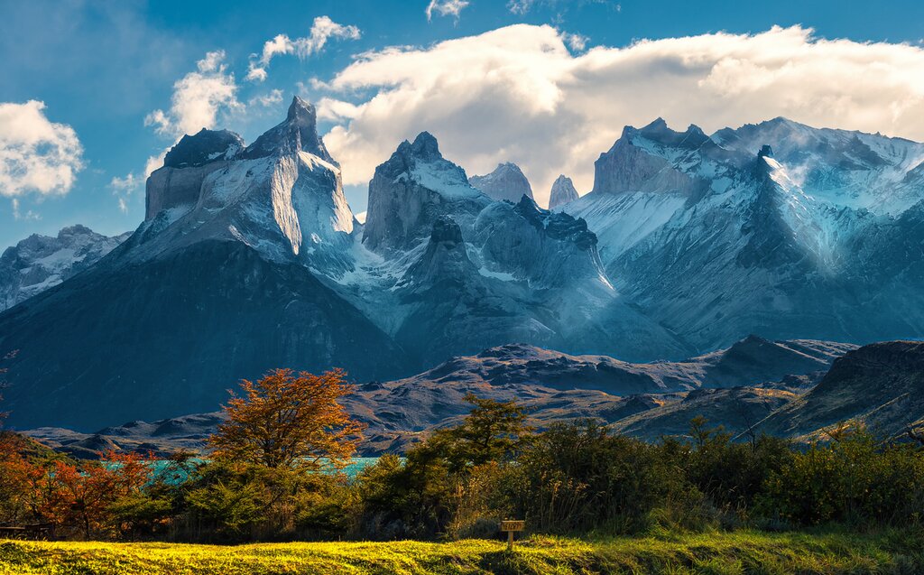 a landscape in Torres del Paine National Park. Trees with autumn leaves are in the foreground, while lake Pehoe and the Cuernos del Paine sit in the background