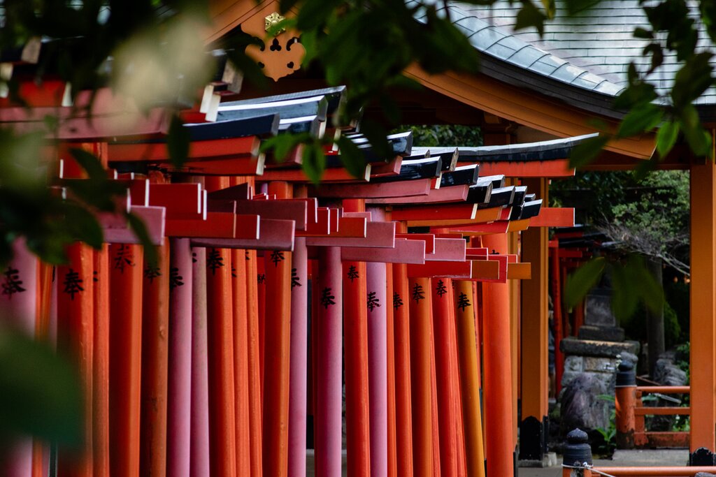 Old Town Tokyo Food & Walking Tour