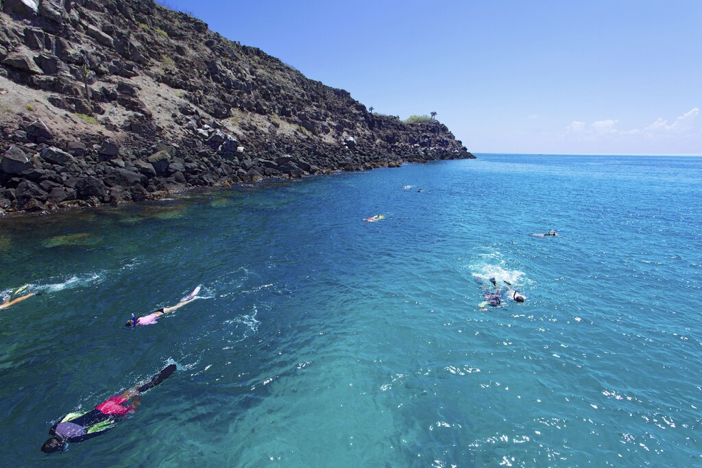A group of swimmers snorkel offshore Isabela Island
