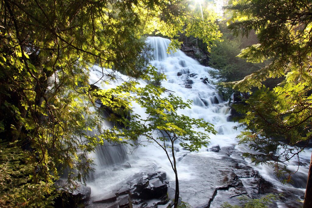 Drive to Quebec City with a stop at Parc de La Mauricie
