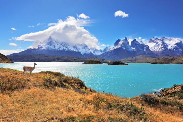 Wonders of Chilean Nature: Santiago, Atacama Desert  & Patagonia - 11 Days