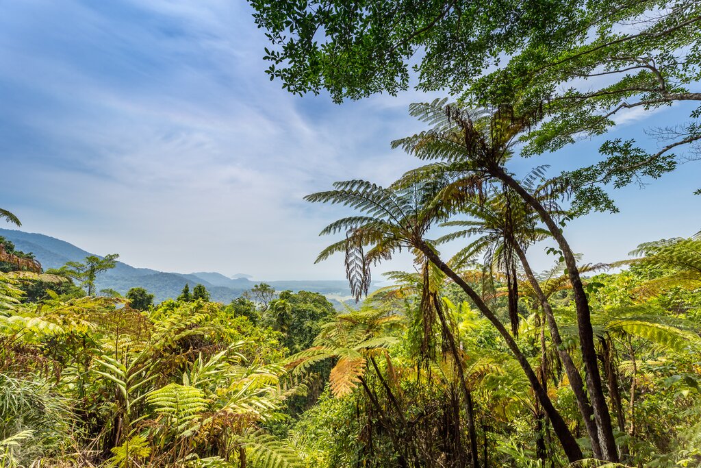 Kuranda