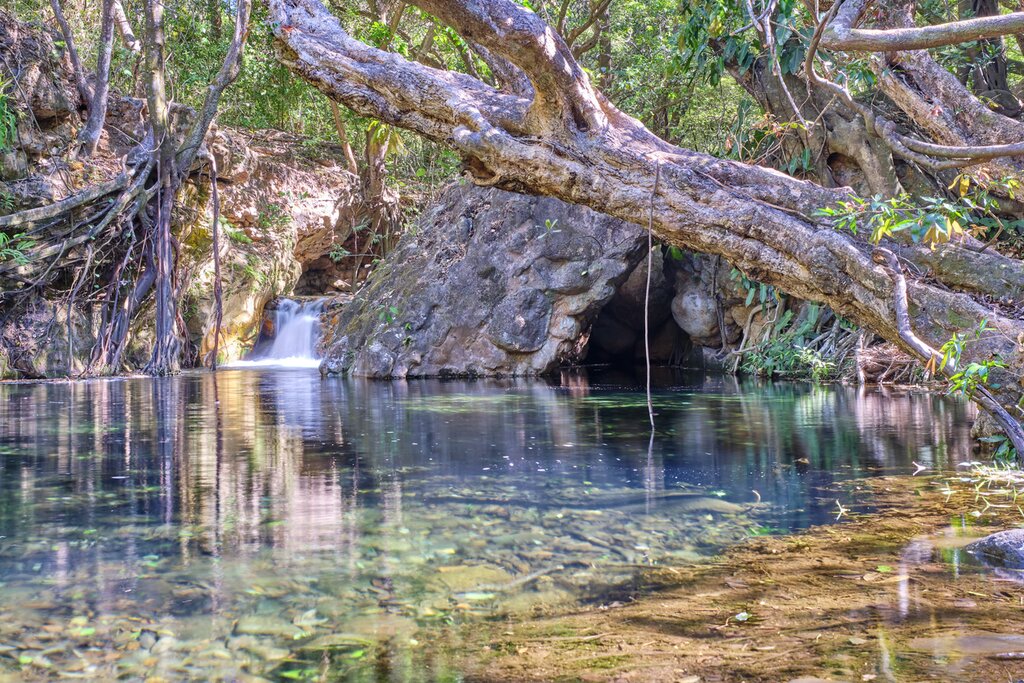Hike through jungles to hidden waterfalls and lagoons in Rincón de la Vieja National Park