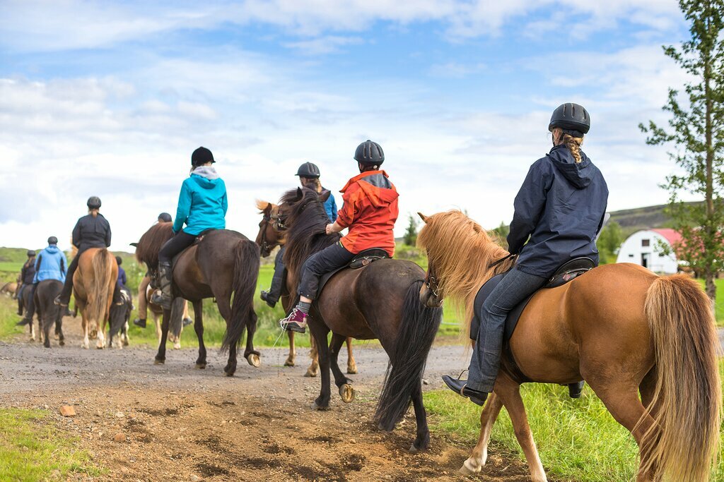 Horse riding in the Golden Circle