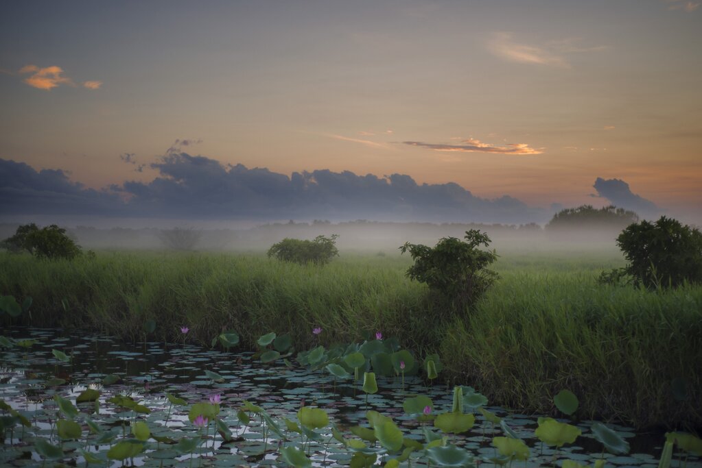 Full Day Flood Country - Northern Kakadu Experience