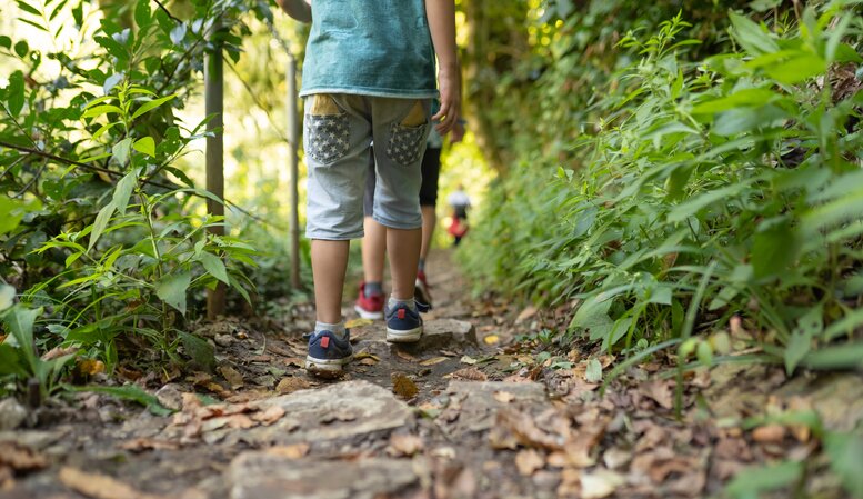 Full Day trip to Nature Reserve Cerro Bravo