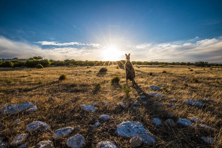 Sunset on Kangaroo Island