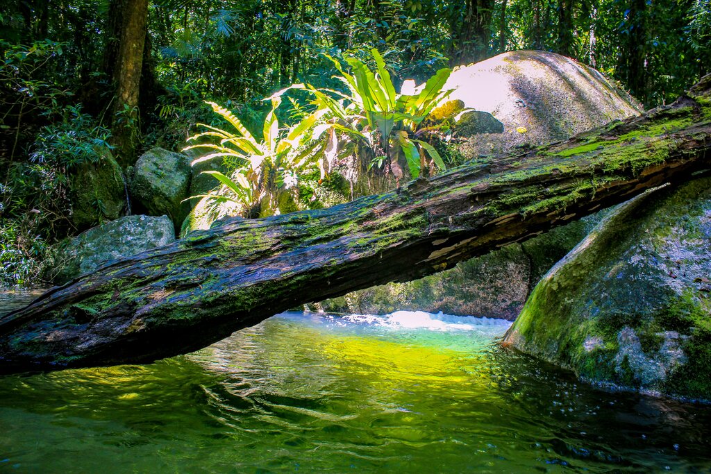 Mossman Gorge