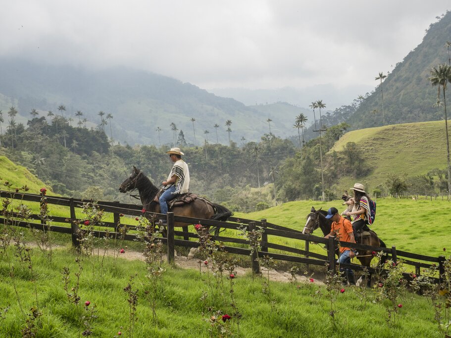 Horseback riding in the Cocora Valley