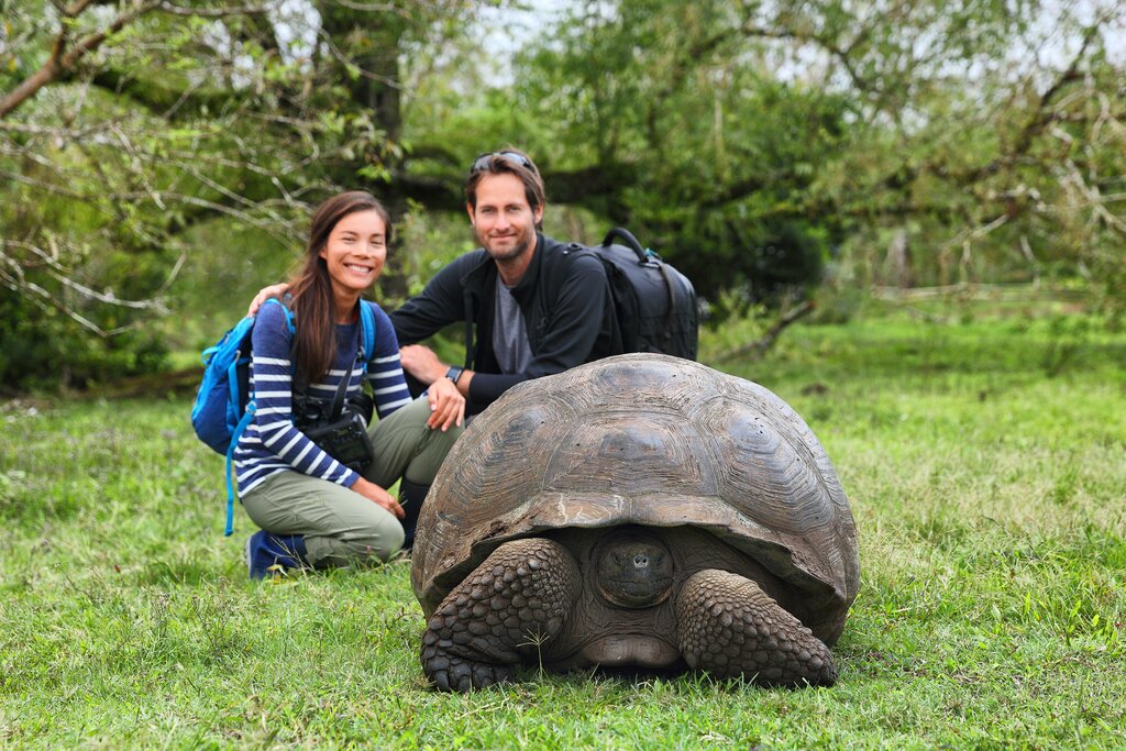 Giant Galapagos Tortoise