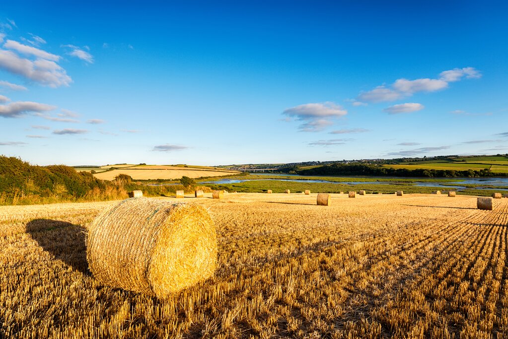 Cycle the Camel Trail Between Padstow and Wadebridge