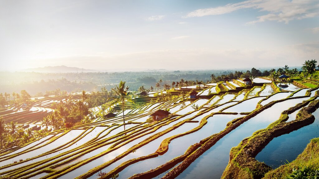 Jatiluwih Rice Terraces