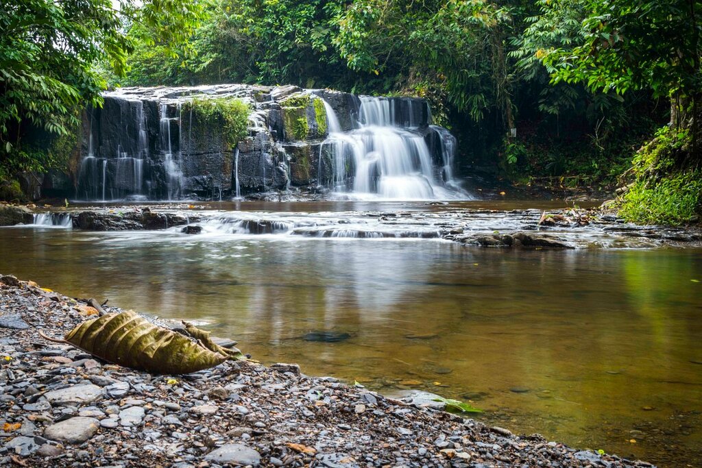 Jungle Trek & Indigenous Community Encounter