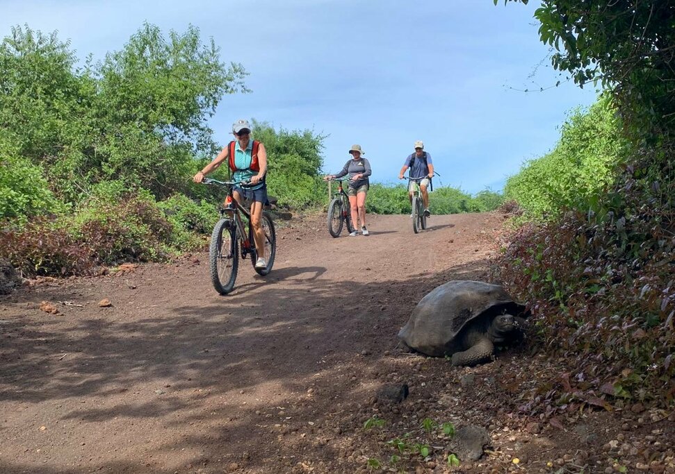 Adventure: Cycling at Cerro Mesa Reserva & Snorkeling at Garrapatero Beach