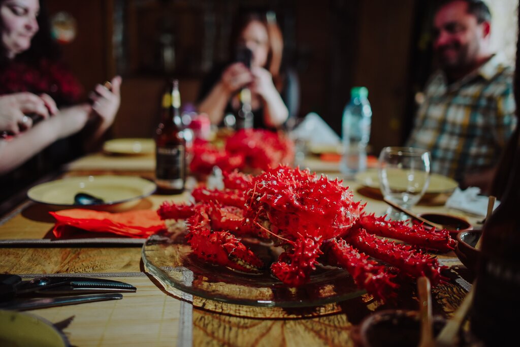 Foodie Experience at the End of the World