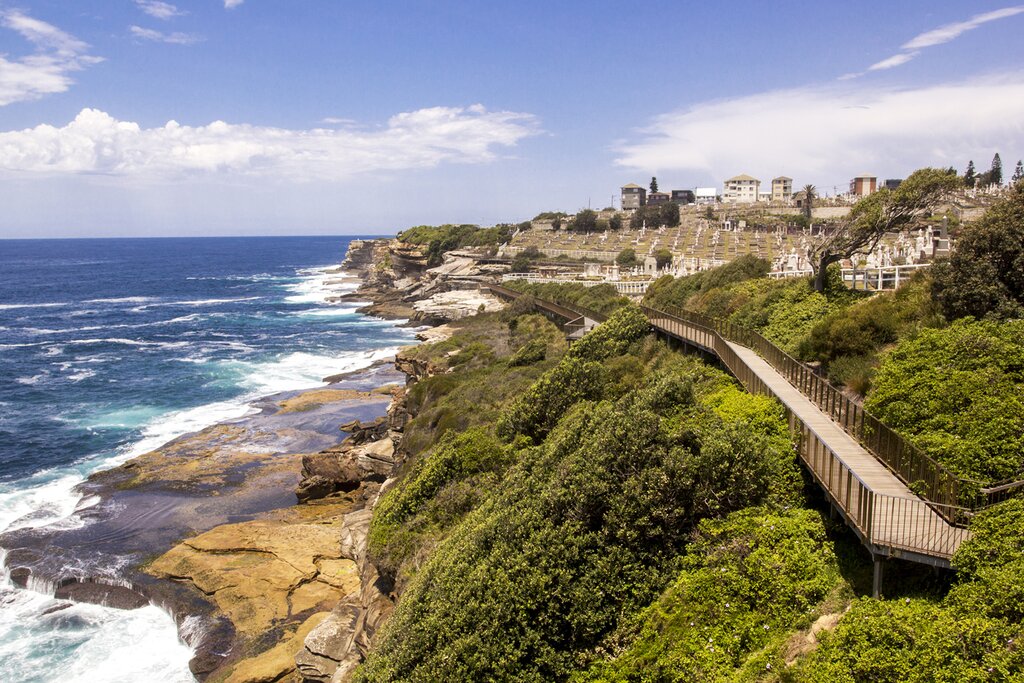 Walk the coastal cliffs around Dover Heights