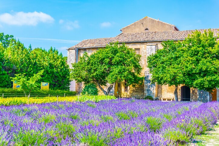 Lavender fields near Saint-Rémy-de-Provence
