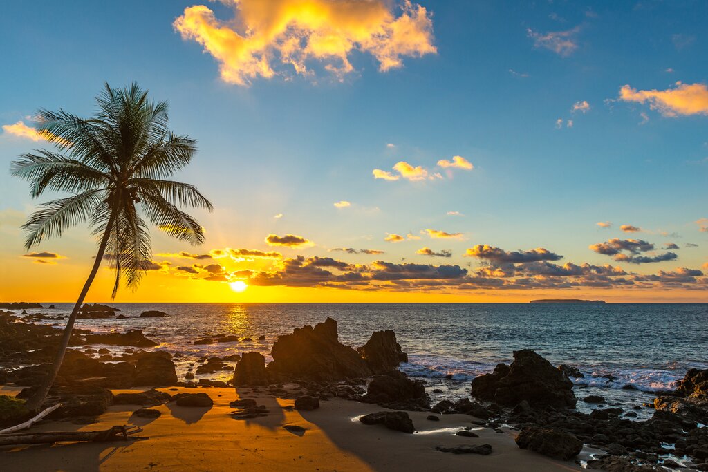 Experience unforgettable memories at Corcovado National Park