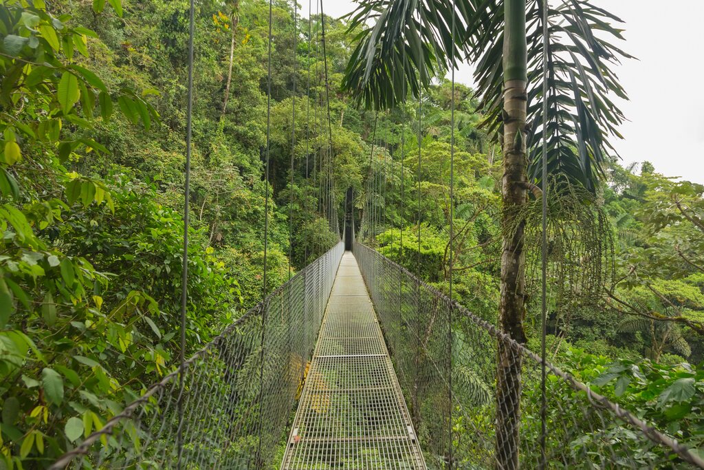 Arenal Hanging Bridges