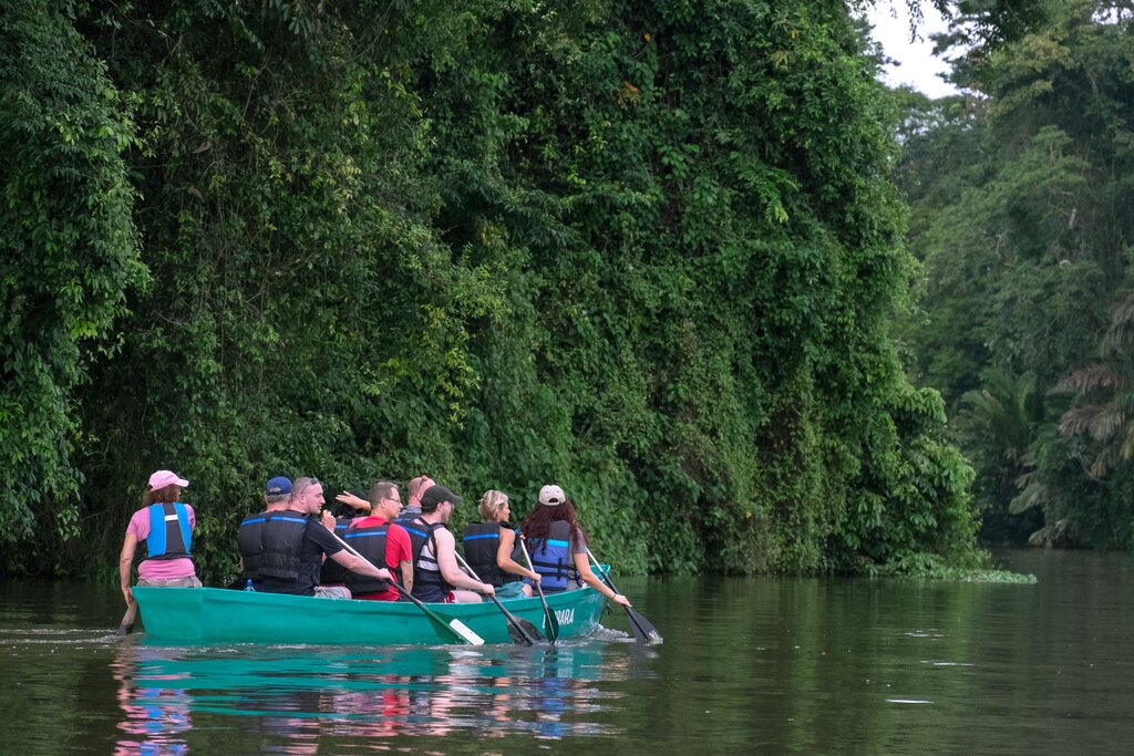 Explore the waterways of Tortuguero National Park