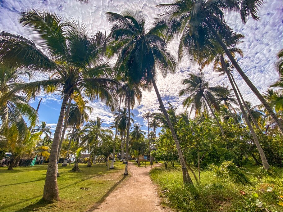 Spend two nights among the palms and beaches of Isla Múcura