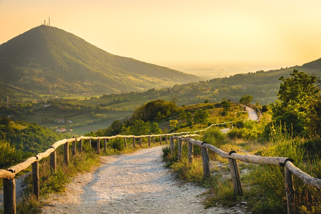 Explore the lush vineyards of the Euganean Hills
