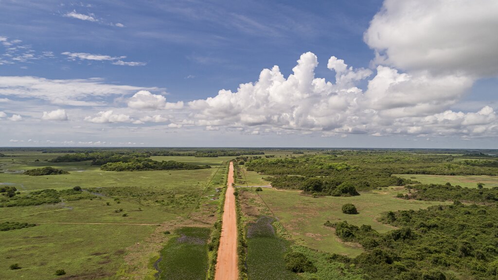 Drive the Transpantaneira dirt road as you cross Brazil's North Pantanal wetlands