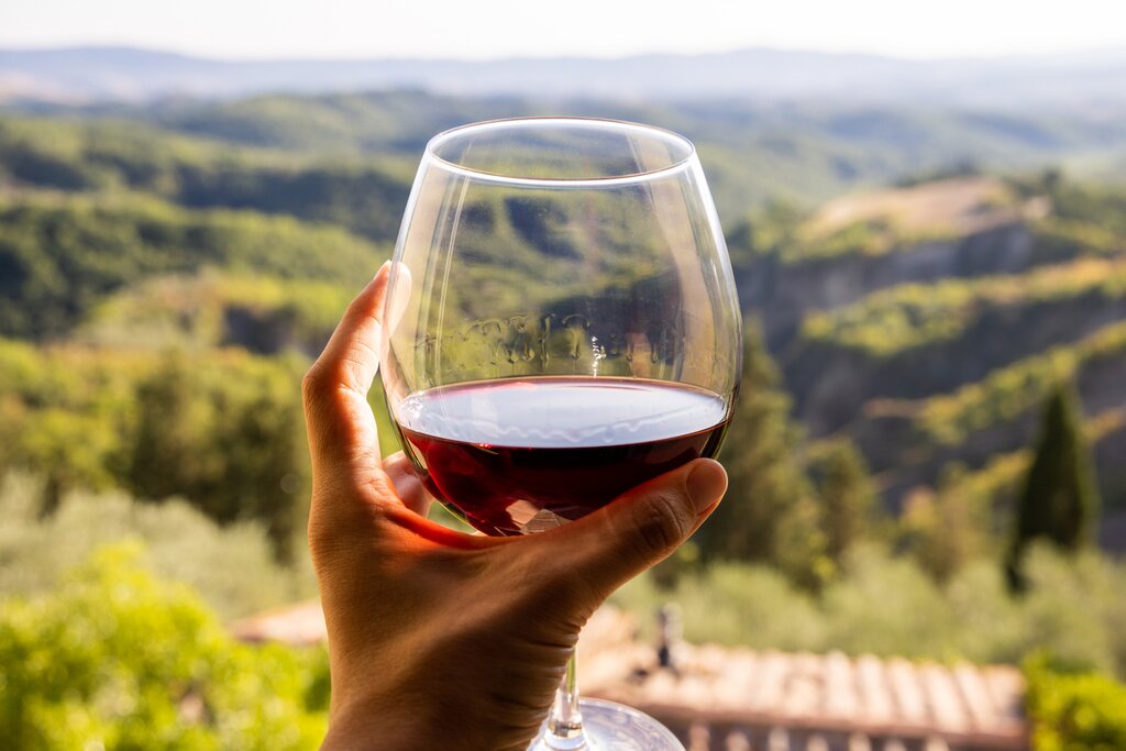 Discover the fine wines of Barolo and Barbaresco