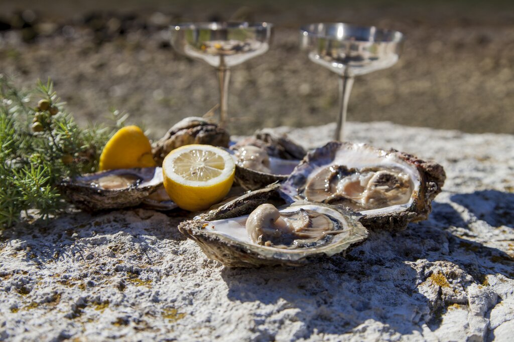 Ston is known for its oysters