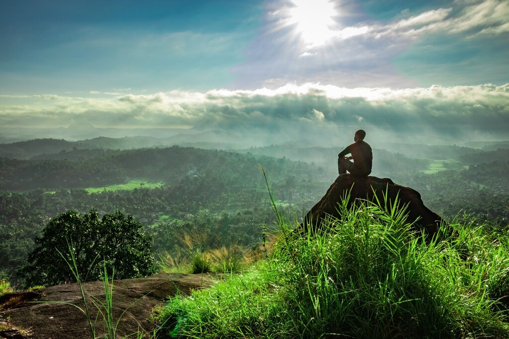 Ooty to Wayanad