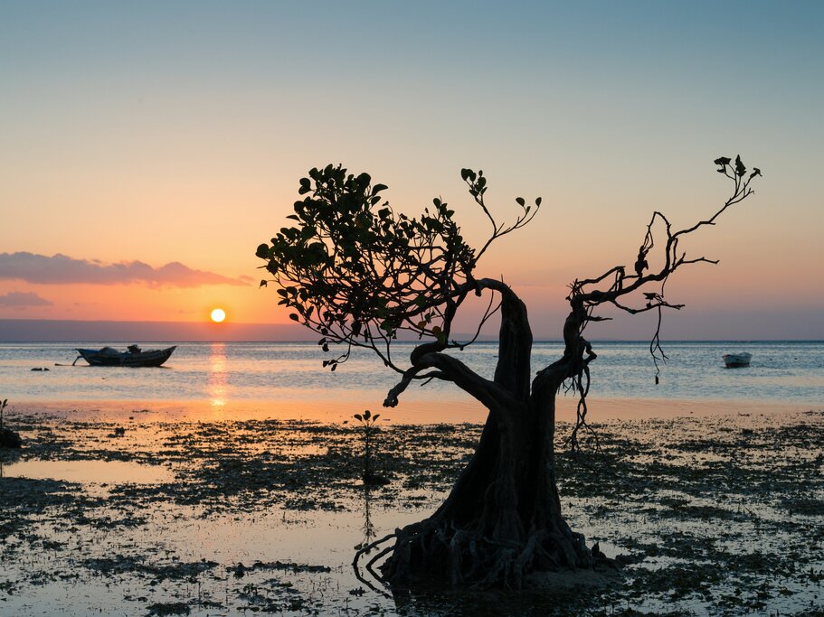 Transfer to Waingapu, Visit Bukit Wairinding & Walakari Beach