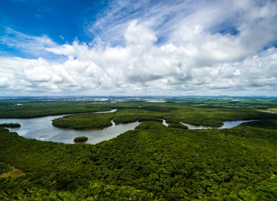 Aerial view of Amazon rainforest in Brazil with a river visible