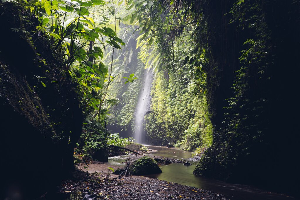 Visit Tukad Cepung Waterfall