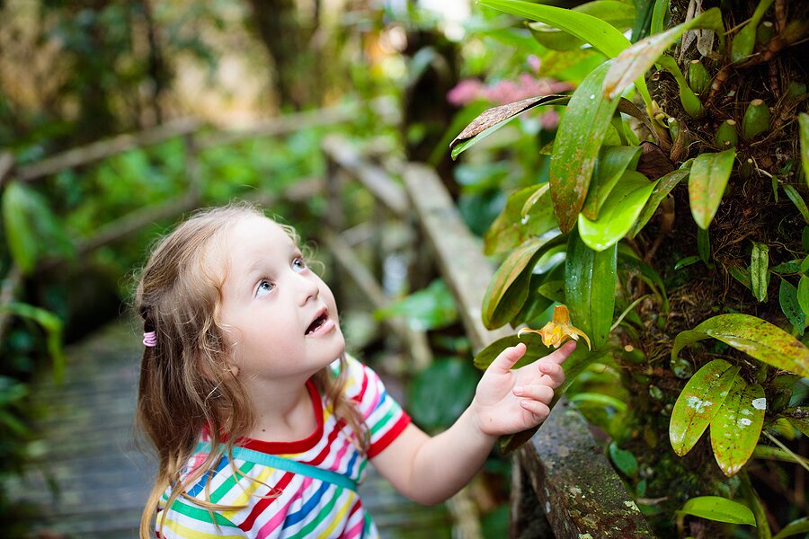 Travel to a rainforest lodge to family hikes, canoeing, and wildlife spotting in the Ecuadorian Amazon