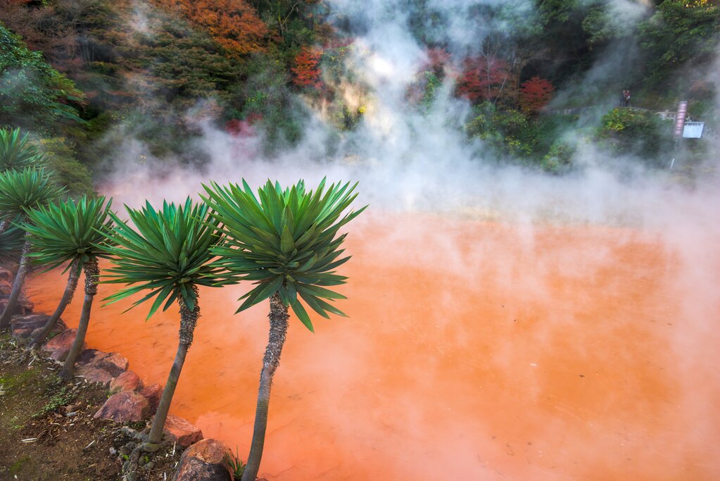 Full Day Beppu Chinoike-Jigoku and Mount Tsurumi Tour