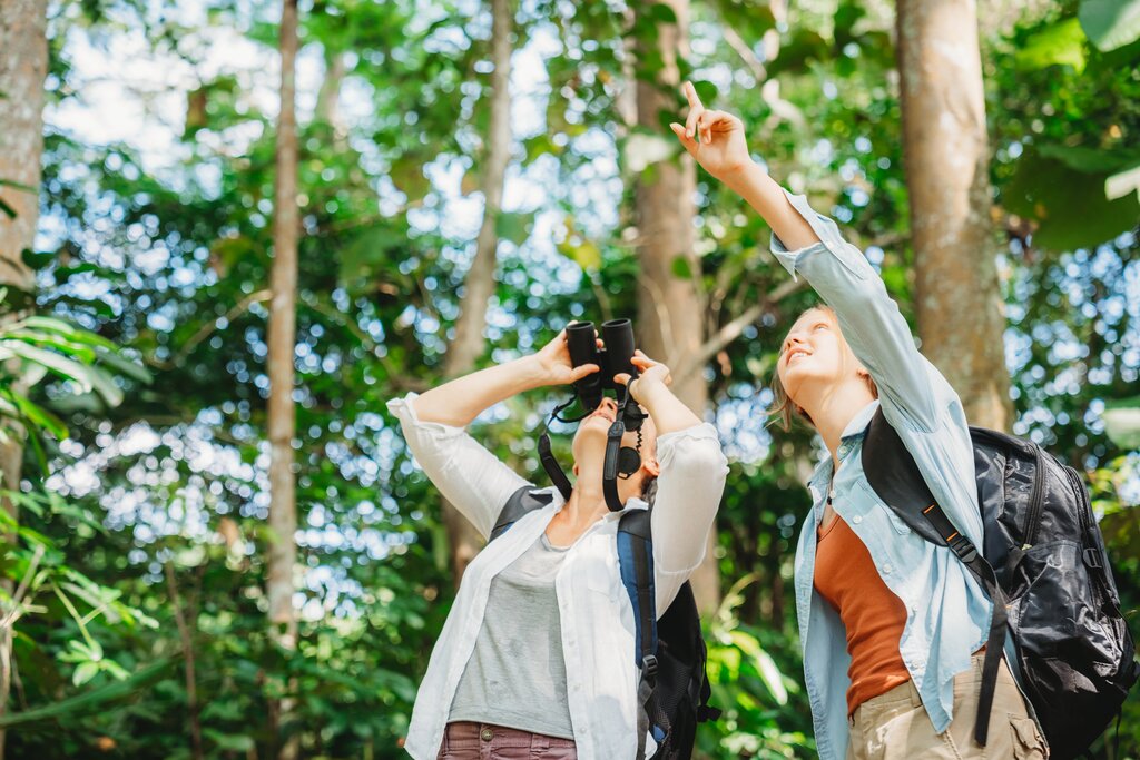 Immerse yourself in the wonders of rainforest with hiking, canoeing, and fishing excursions at an Amazon lodge