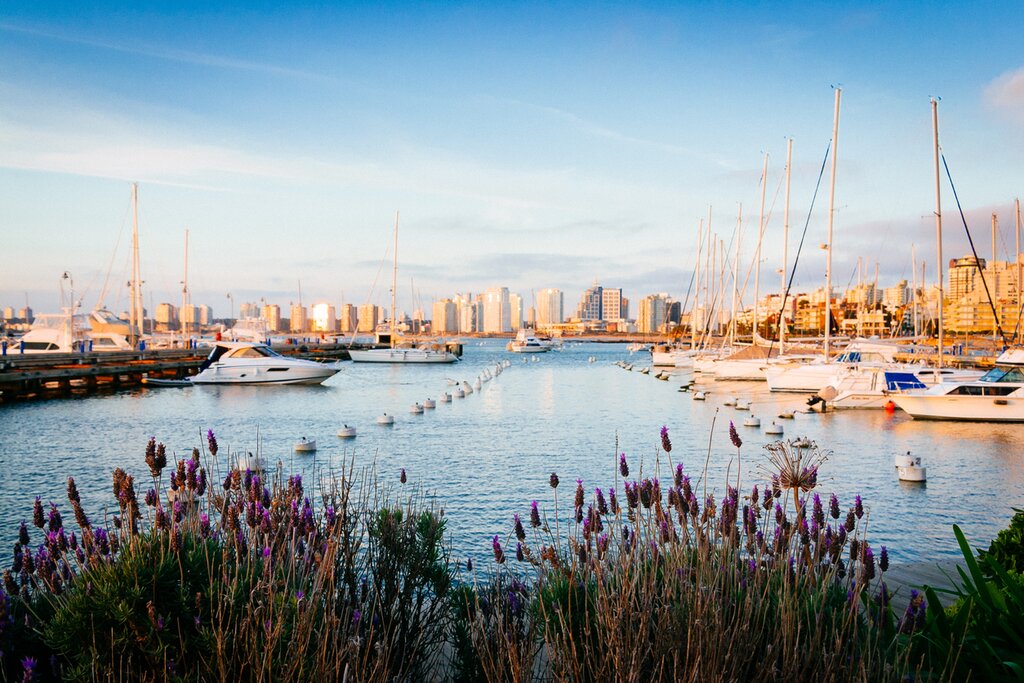General information about PUNTA DEL ESTE