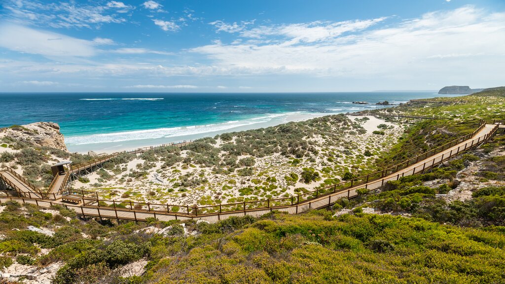 Discover Kangaroo Island
