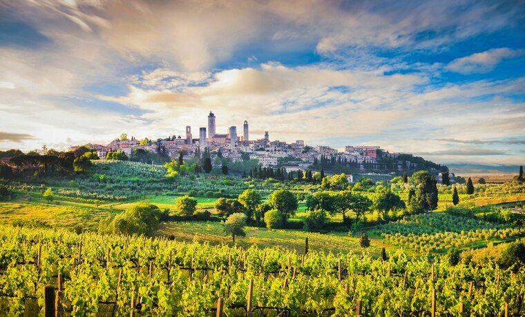 Wind your way through wine country on your way to San Gimignano