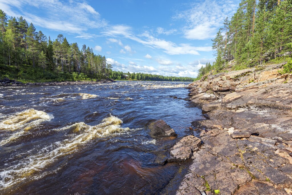 View of the Ounasjoki River from the shore. Small rapids flow past with pine trees on either side
