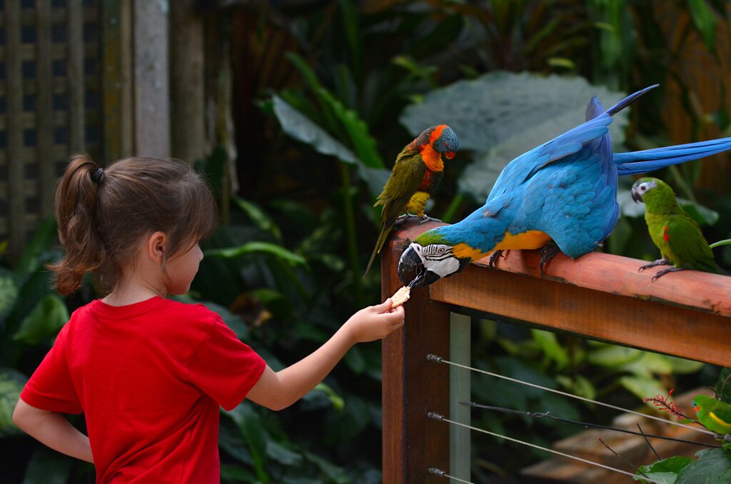 Visit to Parque das Aves