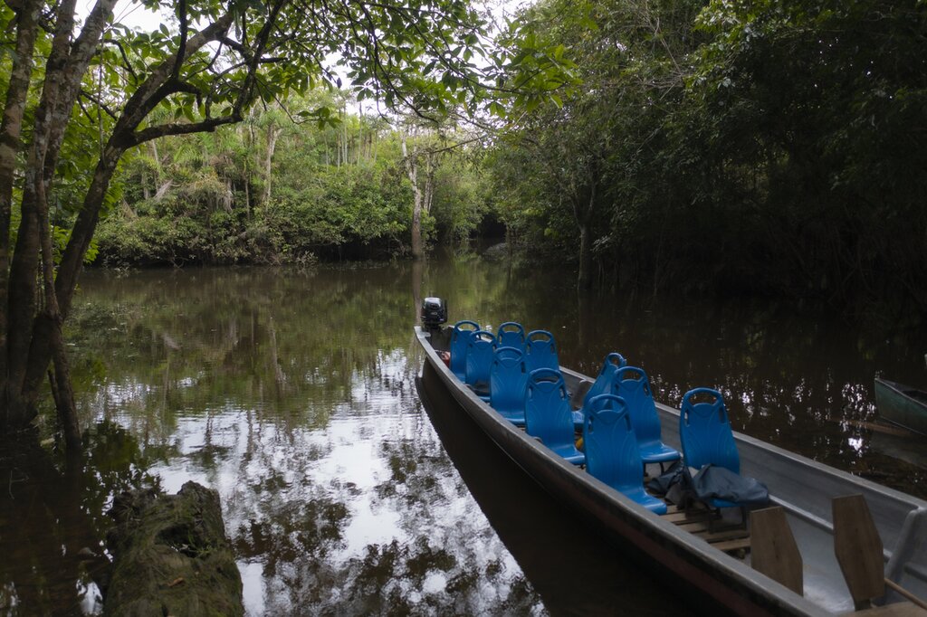 A canoe with plastic seats in a river in the Amazon rainforest