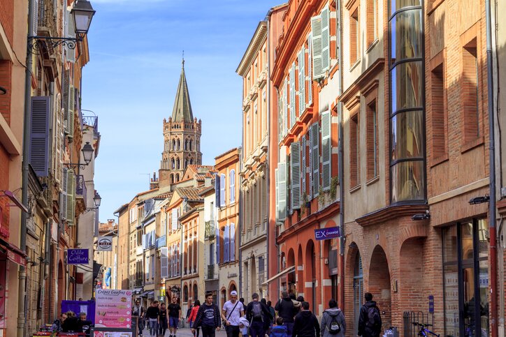 Day at leisure : visit of Toulouse