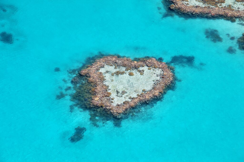Take a scenic flight over the Whitsunday Islands to see Heart Reef followed by a sunset sail