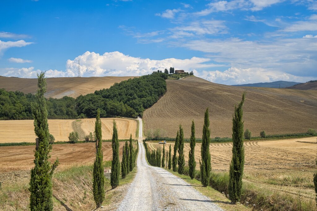 Set off for a spin on Tuscany's famed strada bianche