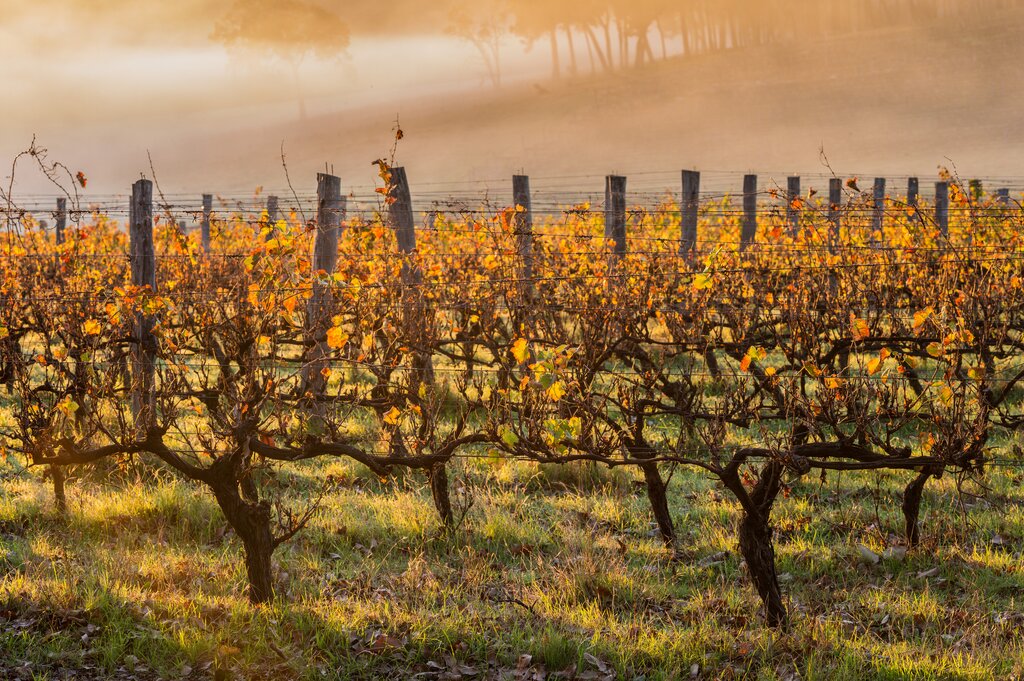 Margaret River Winery