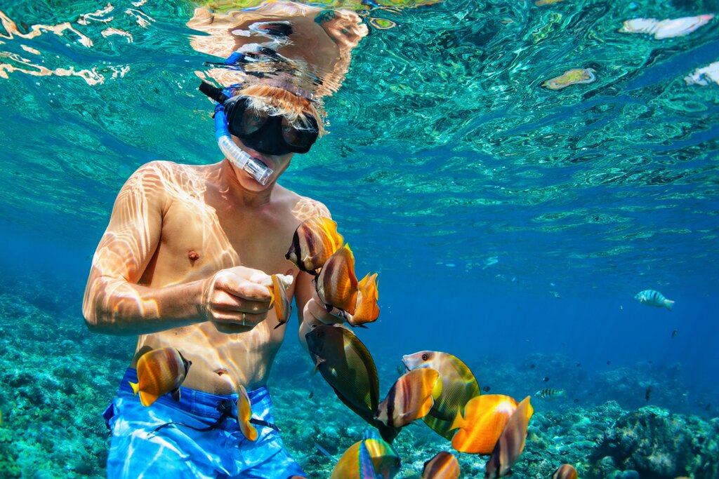 Great Barrier Reef