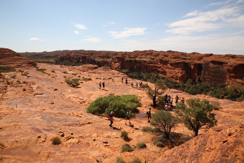 Kings Canyon Rim Walk