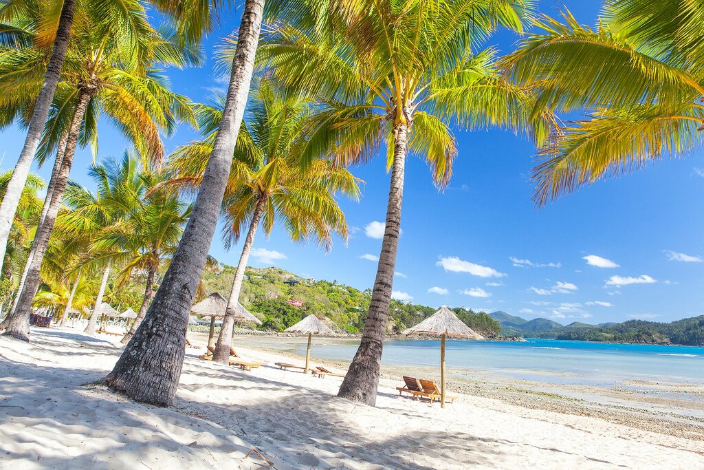 Catseye Beach Hamilton Island